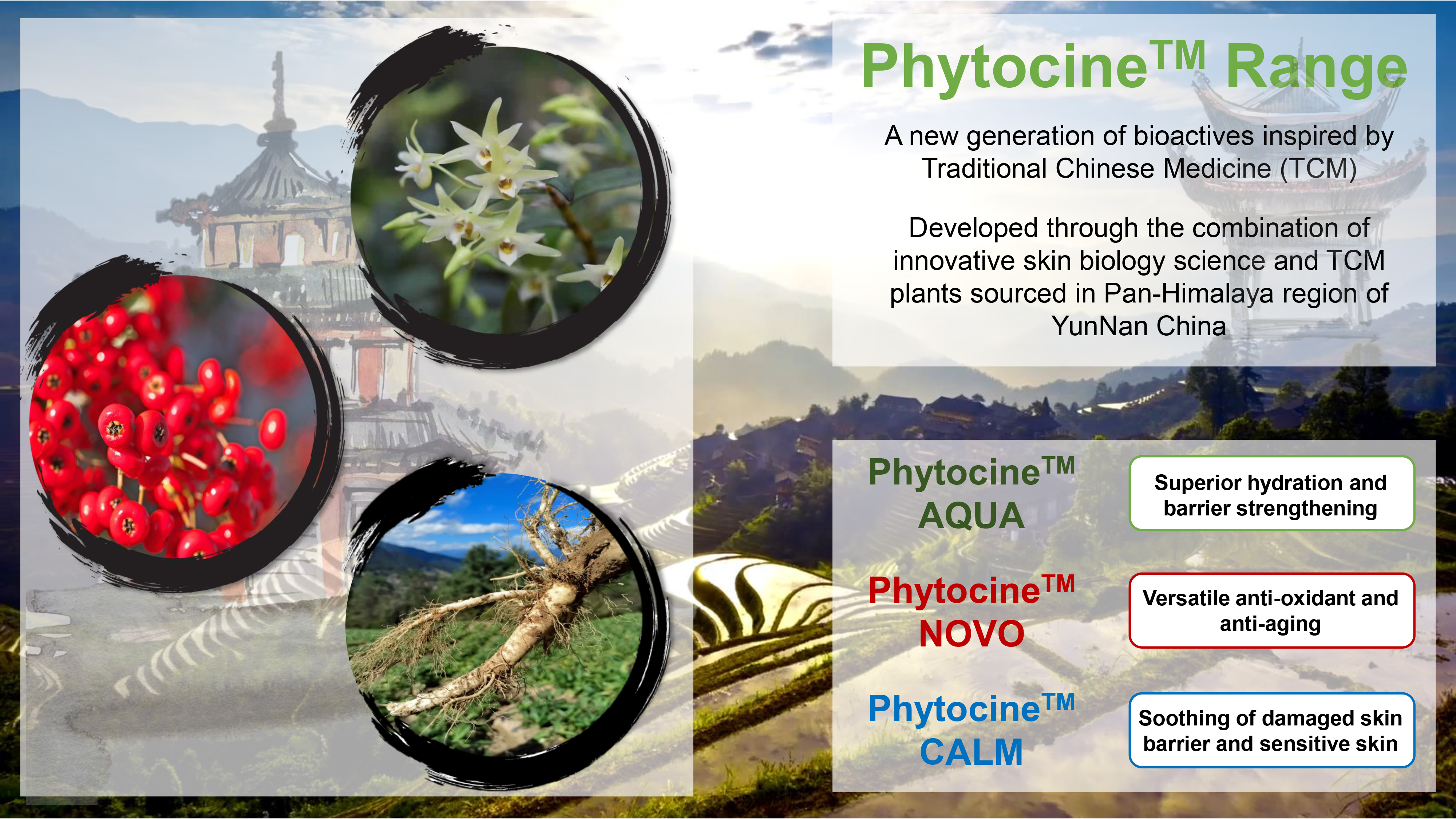 巴斯夫推出Phytocine™——集传统与现代美容科学于一体的新一代中草药活性物-有解塑料观察